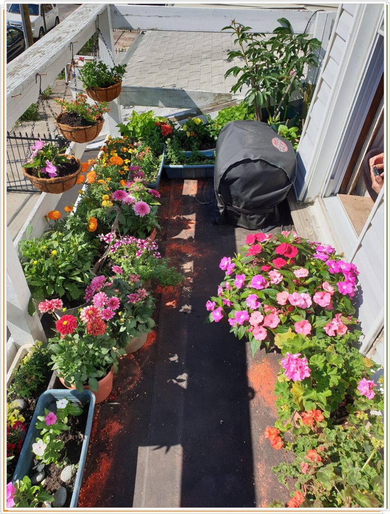 Сад с цветами на балконе