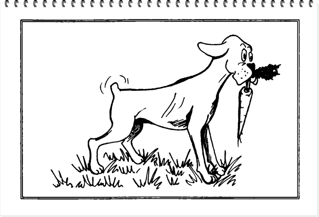 Картинка - собака боксер с морковью в зубах